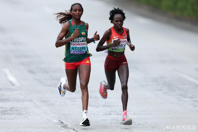 五百年前元,宵烟花先现,加特林,世界杯转播,2026世界杯,直播频道,转播平台,观看指南